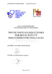 Núñez_Morales_Laura_TFM.pdf.jpg