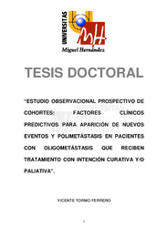 TD Tormo Ferrero, Vicente.pdf.jpg