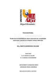TD Garmendia Solano, Marta.pdf.jpg