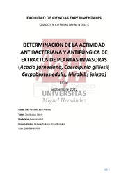 TFG-Díez Ramírez, José Antonio.pdf.jpg