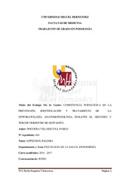 NOGUERA VILLAESCUSA, PABLO.pdf.jpg