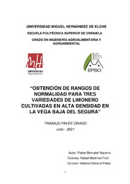 TFG Bernabe Navarro, Rafael.pdf.jpg