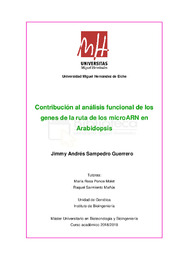 TFM Jimmy Andrés Sampedro Guerrero.pdf.jpg