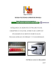 TFM Vasco Delgado, Patricia.pdf.jpg