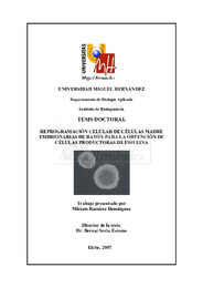 TESIS MIRIAM RAMIREZ DOMINGUEZ.pdf.jpg