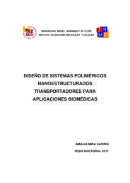 TD Mira Carrió, Amalia.pdf.jpg