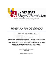 TFG  Cerdá Berenguer, Alvaro Vicente.pdf.jpg