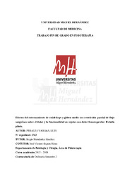 TFG 2019 - Luis Perales - exp.1743.pdf.jpg