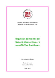 Navarro Quiles, Carla.pdf.jpg