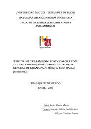 TFG García Martín, Javier.pdf.jpg