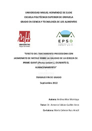TFG Mas Montoya, Andrea.pdf.jpg