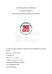 Navarro Rodríguez, Nerea TFG.pdf.jpg