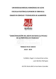 TFG Baena González, Mª del Carmen.pdf.jpg