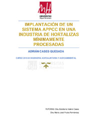 TFG Cases Quesada, Adrián.pdf.jpg
