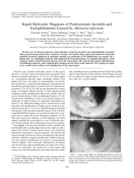 2003 Rapid Molecular Diagnosis of Posttraumatic Keratitis and endothalmitis caused by Alternaria infectoria.pdf.jpg