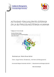 TFG Romo Ibáñez Maria.pdf.jpg
