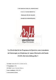 Trabajo final de grado (TFG)-Raúl Marchante Calero.pdf.jpg