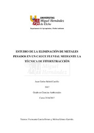TFG Beltrá Castillo, Juan Carlos..pdf.jpg