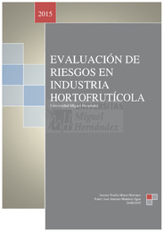TFM Mateo Martínez, Noelia.pdf.jpg