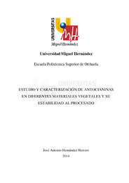 TD Hernández Herrero, José Antonio.pdf.jpg