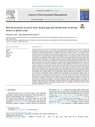 10 - Guil and Pérez-García 2021 JEMA Global electrocution factors.pdf.jpg