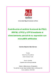 Gabriela Alejandra Baez Barroso.pdf.jpg