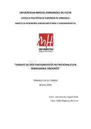TFG Esquiva Roch, José Antonio.pdf.jpg