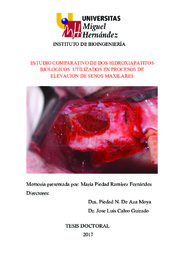 tesis Ramirez Fernandez , María Piedad.pdf.jpg