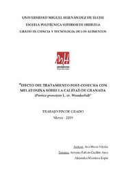 TFG Vintila, Ana María.pdf.jpg