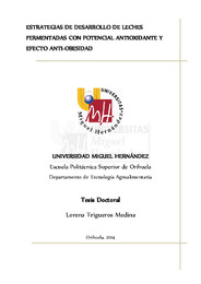 TD Trigueros Medina, Lorena.pdf.jpg