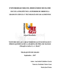 TFG Caballero García, Ana Isabel.pdf.jpg