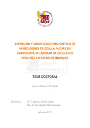 TD Toro Soto, Paula A.pdf.jpg