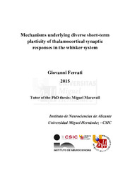 TD Ferrati, Giovanni.pdf.jpg