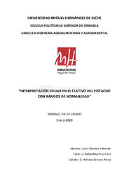 TFG Sánchez Valverde, Laura.pdf.jpg