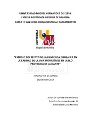 TFG Pina Hernández, Soledad.pdf.jpg