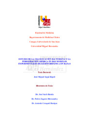 TD Seguí Ripoll, José Miguel.pdf.jpg