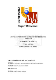 Gallego Martínez, Luis TFM.pdf Hecho.pdf.jpg