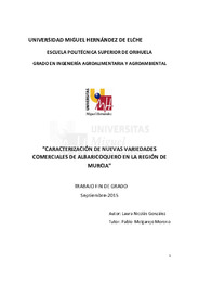 TFG Nicolás González, Laura.pdf.jpg