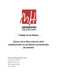 Soler Bernad, Marcos_TFM.pdf.jpg