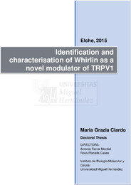 TD Grazia Ciardo, Maria.pdf.jpg