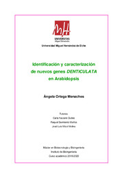 TFM Ortega Menaches Angela.pdf.jpg