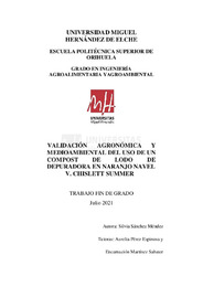 TFG Sanchez Mendez, Silvia.pdf.jpg