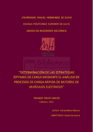 TFG-Mora Olivares, Patricia.pdf.jpg
