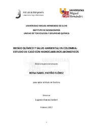 TD Patiño Flórez, Rosa Isabel.pdf.jpg