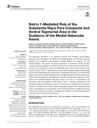 Netrin 1-Mediated Role of the Substantia Nigra Pars Compacta and Ventral Tegmental Area in the Guidance of the Medial Habenular Axons.pdf.jpg
