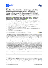 8-Nombela et al_2019_Rainbow Trout Red Blood Cells Exposed to VHSV Up-Regulate Antigen-presenting Cell Markers_cells.pdf.jpg