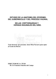 TESIS Mira Navarro.pdf.jpg