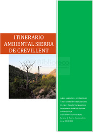 TFG MIRALLES CANTÓ.pdf.jpg