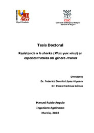 TESIS MRUBIO2006.pdf.jpg