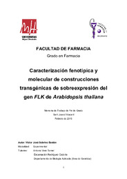 TFG Victor José Sobrino Bastán.pdf.jpg
